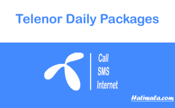 Telenor Daily Packages