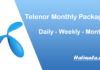 Telenor Monthly Packages