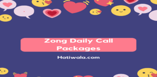 Zong Daily Call Packages