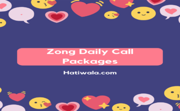 Zong Daily Call Packages