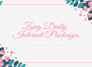 Zong Daily Internet Packages