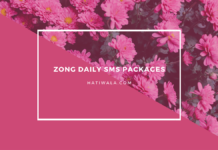 Zong Daily SMS Packages