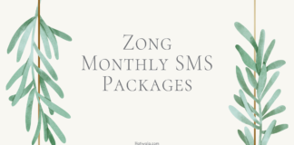 Zong Monthly SMS Packages