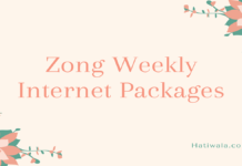 Zong Weekly Internet Packages