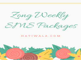 Zong Weekly SMS Packages