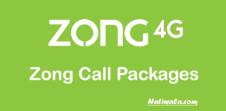 Zong Call Packages