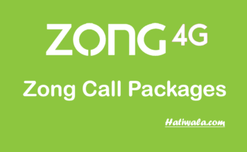 Zong Call Packages