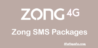 Zong SMS Packages